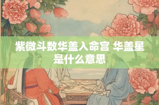 紫微斗数华盖入命宫 华盖星是什么意思