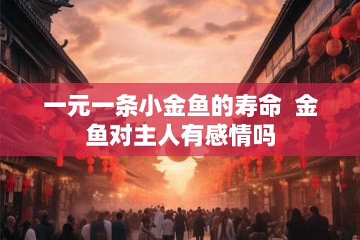 一元一条小金鱼的寿命  金鱼对主人有感情吗