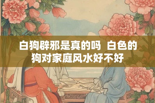 白狗辟邪是真的吗  白色的狗对家庭风水好不好