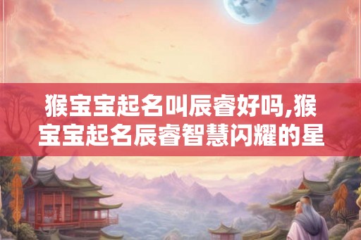 猴宝宝起名叫辰睿好吗,猴宝宝起名辰睿智慧闪耀的星辰