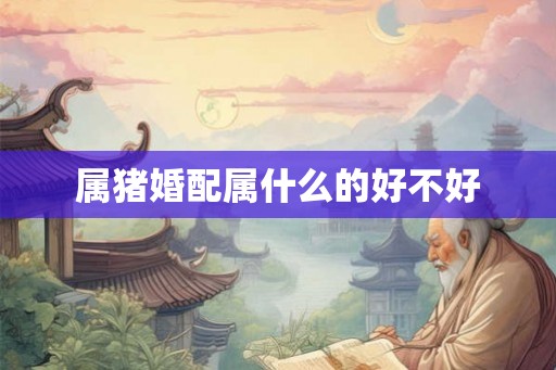 属猪婚配属什么的好不好