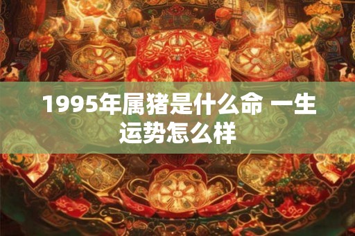 1995年属猪是什么命 一生运势怎么样