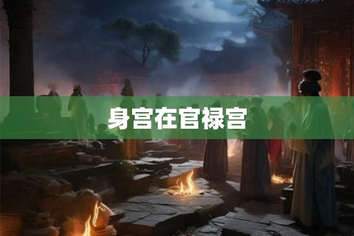 身宫在官禄宫