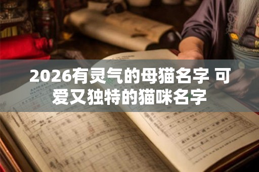 2026有灵气的母猫名字 可爱又独特的猫咪名字