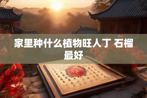 家里种什么植物旺人丁 石榴最好