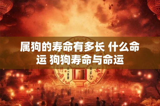 属狗的寿命有多长 什么命运 狗狗寿命与命运