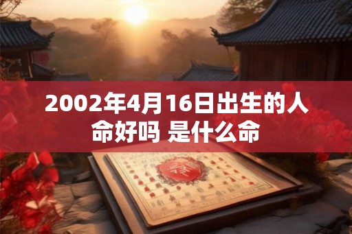 2002年4月16日出生的人命好吗 是什么命