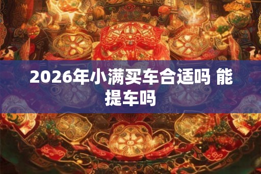 2026年小满买车合适吗 能提车吗