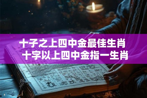 十子之上四中金最佳生肖  十字以上四中金指一生肖
