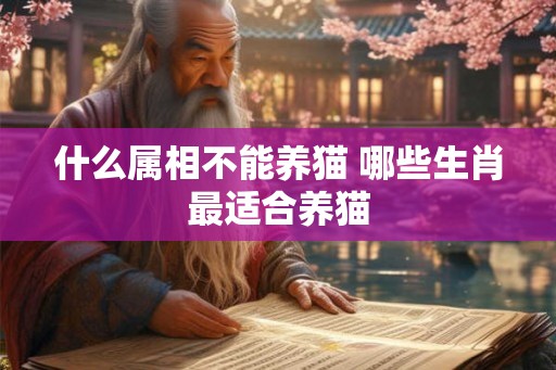 什么属相不能养猫 哪些生肖最适合养猫