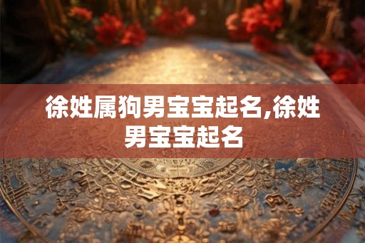 徐姓属狗男宝宝起名,徐姓男宝宝起名 徐姓属狗男宝宝起名,徐姓男宝宝起名