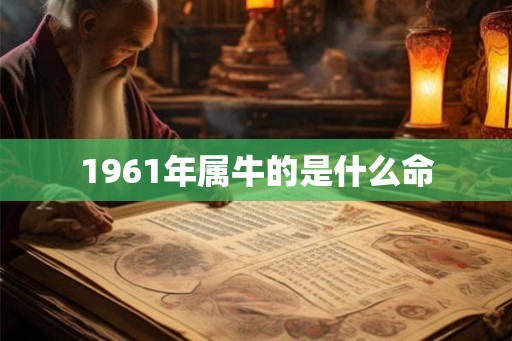 1961年属牛的是什么命
