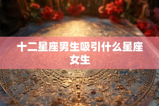 十二星座男生吸引什么星座女生