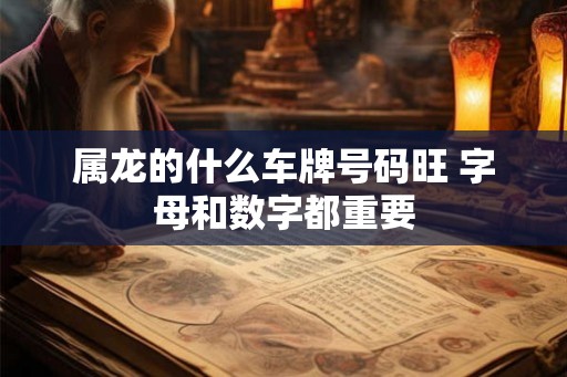 属龙的什么车牌号码旺 字母和数字都重要