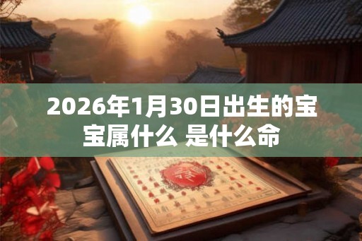2026年1月30日出生的宝宝属什么 是什么命