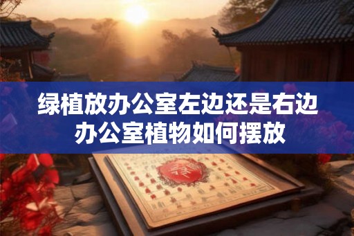 绿植放办公室左边还是右边 办公室植物如何摆放