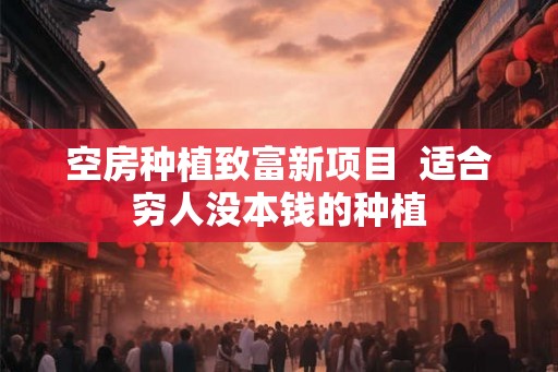 空房种植致富新项目  适合穷人没本钱的种植