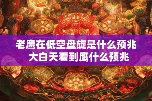 老鹰在低空盘旋是什么预兆 大白天看到鹰什么预兆 老鹰在低空盘旋是什么预兆 大白天看到鹰什么预兆