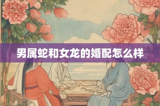 男属蛇和女龙的婚配怎么样