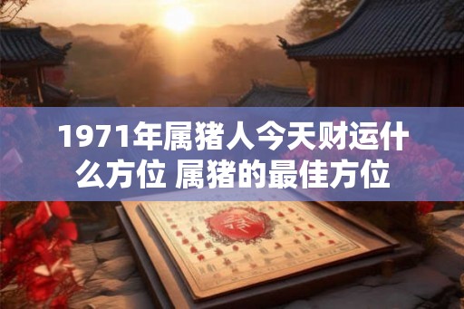 1971年属猪人今天财运什么方位 属猪的最佳方位