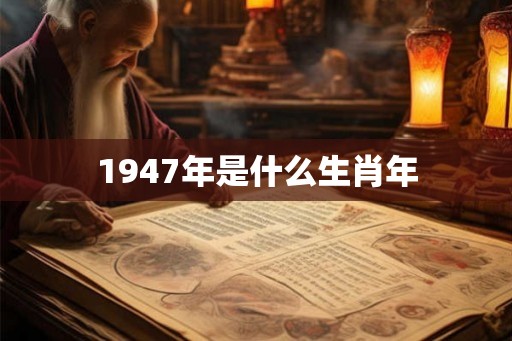 1947年是什么生肖年
