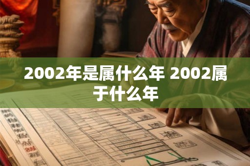 2002年是属什么年 2002属于什么年