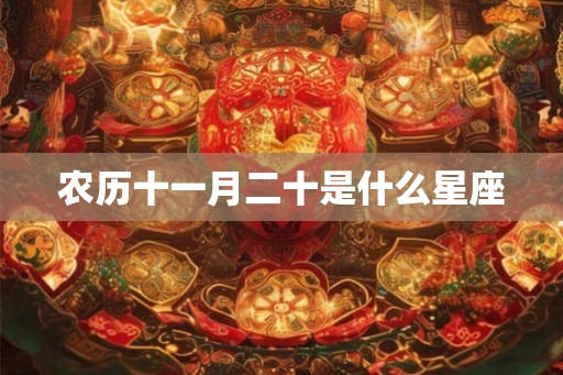 农历十一月二十是什么星座
