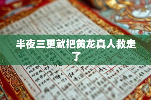 半夜三更就把黄龙真人救走了