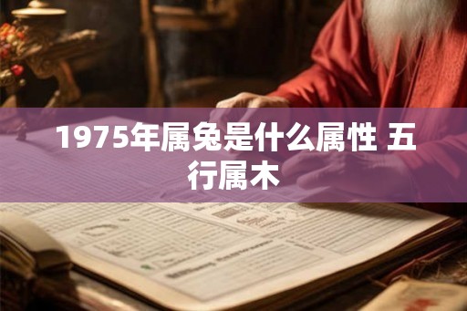 1975年属兔是什么属性 五行属木