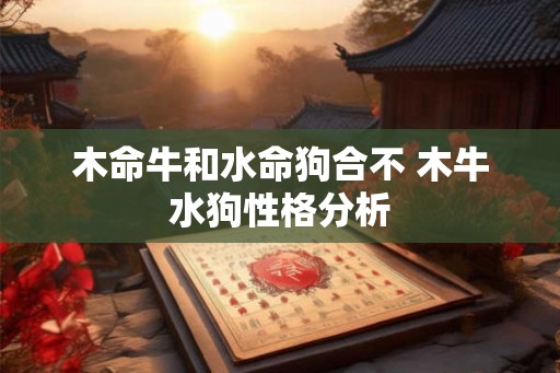 木命牛和水命狗合不 木牛水狗性格分析