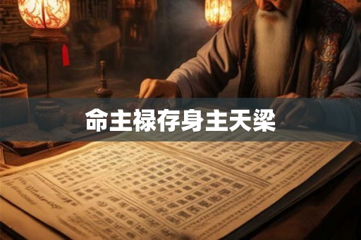 命主禄存身主天梁