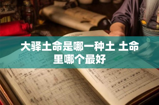 大驿土命是哪一种土 土命里哪个最好 大驿土命是哪一种土 土命里哪个最好