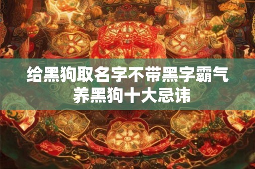 给黑狗取名字不带黑字霸气  养黑狗十大忌讳