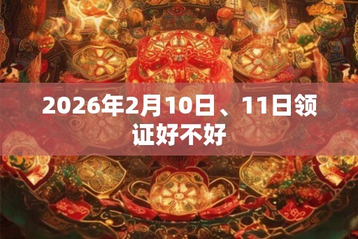 2026年2月10日、11日领证好不好
