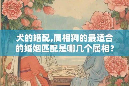 犬的婚配,属相狗的最适合的婚姻匹配是哪几个属相？