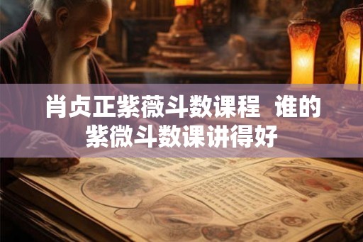 肖贞正紫薇斗数课程  谁的紫微斗数课讲得好