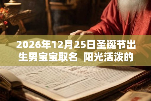2026年12月25日圣诞节出生男宝宝取名  阳光活泼的男孩名字