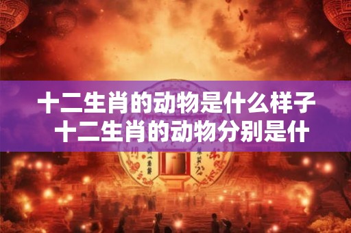 十二生肖的动物是什么样子  十二生肖的动物分别是什么