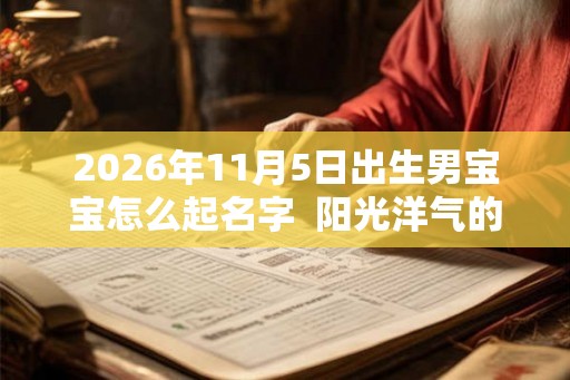 2026年11月5日出生男宝宝怎么起名字  阳光洋气的名字大全