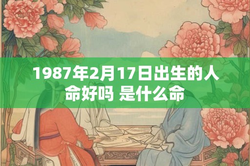 1987年2月17日出生的人命好吗 是什么命