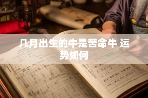 几月出生的牛是苦命牛 运势如何