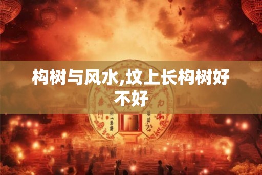 构树与风水,坟上长构树好不好