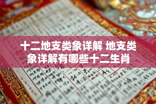 十二地支类象详解 地支类象详解有哪些十二生肖