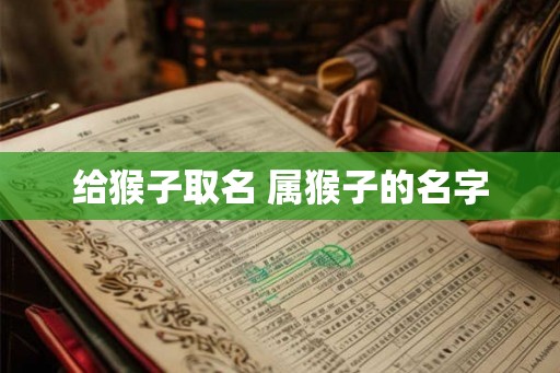 给猴子取名 属猴子的名字