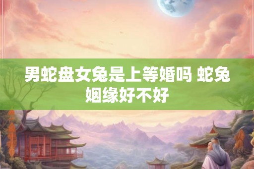 男蛇盘女兔是上等婚吗 蛇兔姻缘好不好