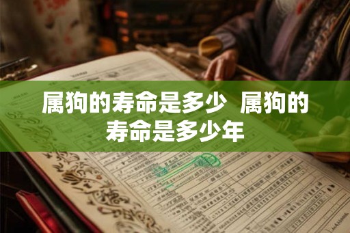 属狗的寿命是多少  属狗的寿命是多少年