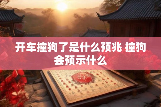 开车撞狗了是什么预兆 撞狗会预示什么 开车撞狗了是什么预兆 撞狗会预示什么