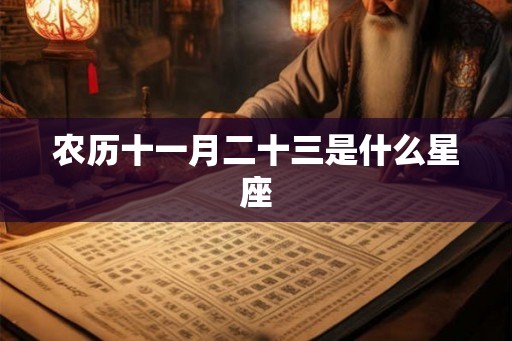 农历十一月二十三是什么星座