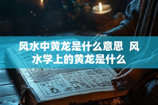 风水中黄龙是什么意思 风水学上的黄龙是什么 风水中黄龙是什么意思 风水学上的黄龙是什么