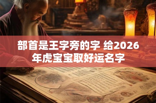 部首是王字旁的字 给2026年虎宝宝取好运名字